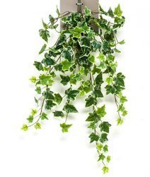 Sztuczny Bluszcz wiszący pnącze busz 70 cm zielonobiały