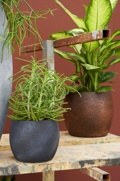 Lester 20/18 kulista osłonka ceramiczna czarny kamień