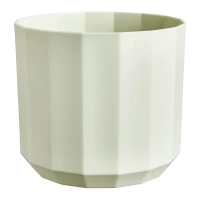 zielona herbata / tea green