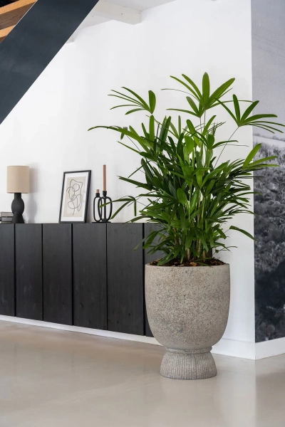 Jola High L 53/68 kamienna donica szarobrązowa dioryt