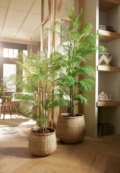 Sztuczna palma Chamedora 120 cm