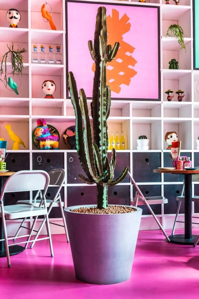 Bucket L 68/60 duża donica kamienna szara