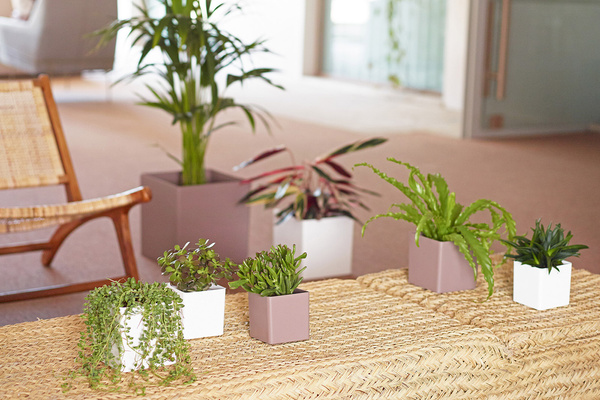 OSLO 11x11/11 doniczka kubik kwadratowa biała