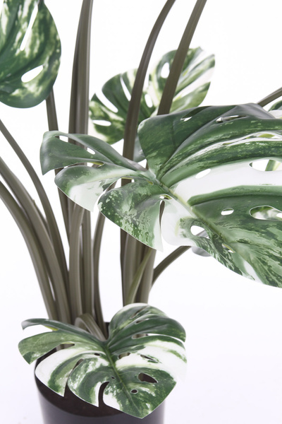 Sztuczna Monstera Variegata dziurawa zielono-biała 120 cm
