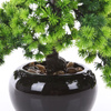 Sztuczne drzewko Bonsai Modrzew Larch 37x30 cm w ceramicznej doniczce