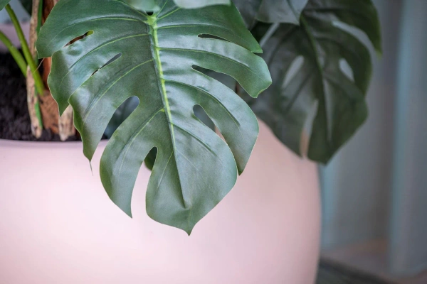 Stream XS 45/37 kulista donica pudrowy róż