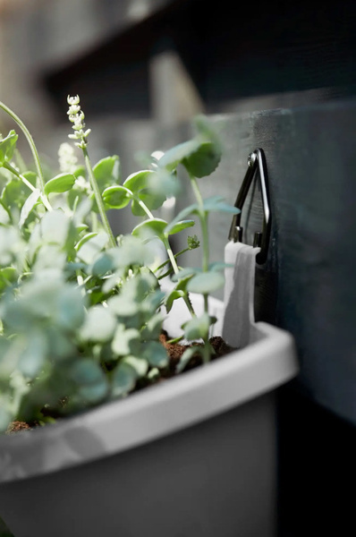 Corsica Vertical Forest Large antracytowe doniczki na ścianę 2 sztuki