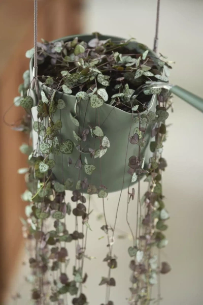 B. For Swing 18/16 osłonka wisząca zielony liść