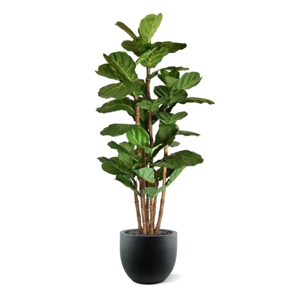 Sztuczny Fikus Lyrata 165 cm duże liście deluxe