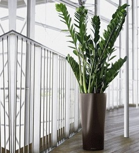 LECHUZA DELTA 40/75 donica brązowa metalik