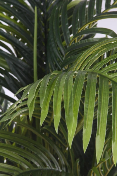 Sztuczna Palma Areka 150 cm gęsta