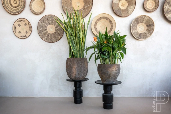 Claire S 54/44 naturalna osłonka kamienna brązowa oyster