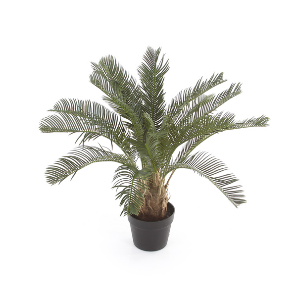 Sztuczny cykas 60 cm 18 liści