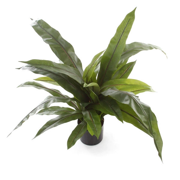 Sztuczne Asplenium paproć 80 cm 33 liście