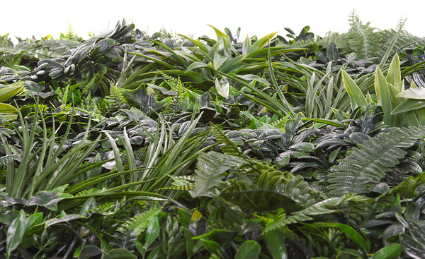 Sztuczna Zielona ściana mata 100x100 mix roślin UV wodoodporna