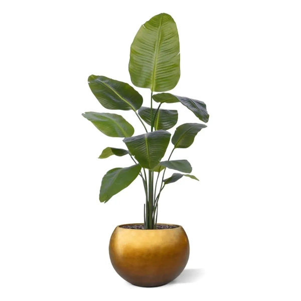 Sztuczna Strelicja Nicolai 150 cm