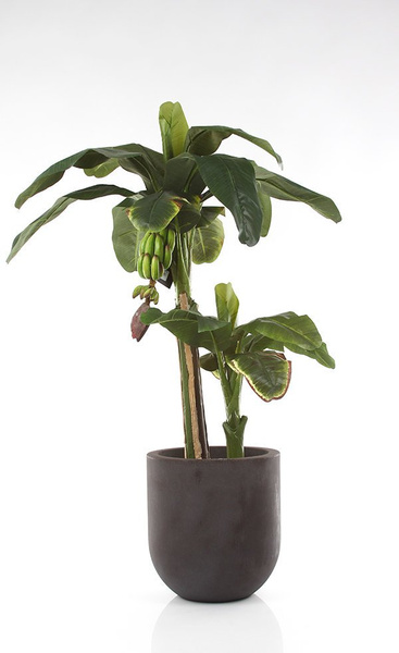 Sztuczny Banan 150 cm