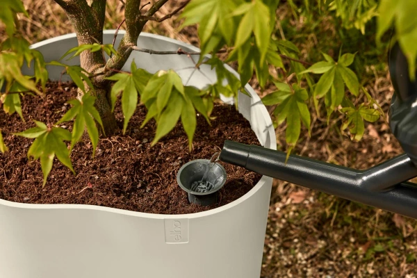 Eden Aquacare Low 40 niska donica owalna biała linen white system samonawadniający