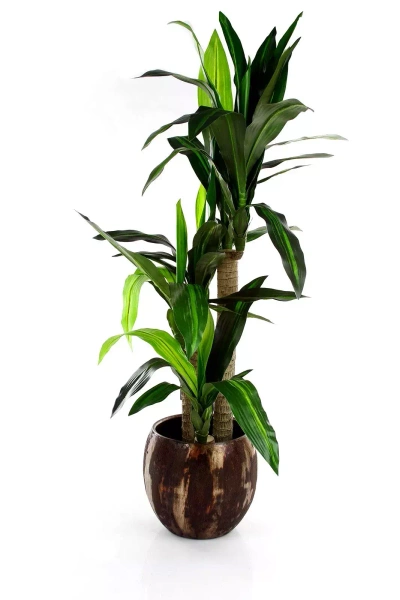 Roel 26/24 ceramiczna doniczka rdza