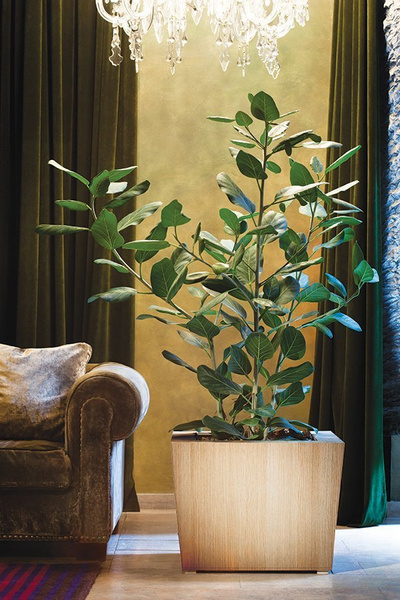 NATURA 45x45/40 donica z drewna dębowego jasna