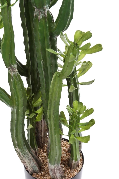 Sztuczny Kaktus Euphorbia Royleana 118 cm
