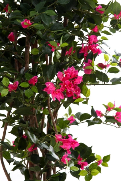 Sztuczna Bugenwilla z różowymi kwiatami 150 cm drewniany pień