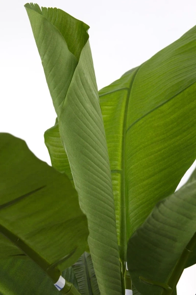 Sztuczny Bananowiec 165 cm