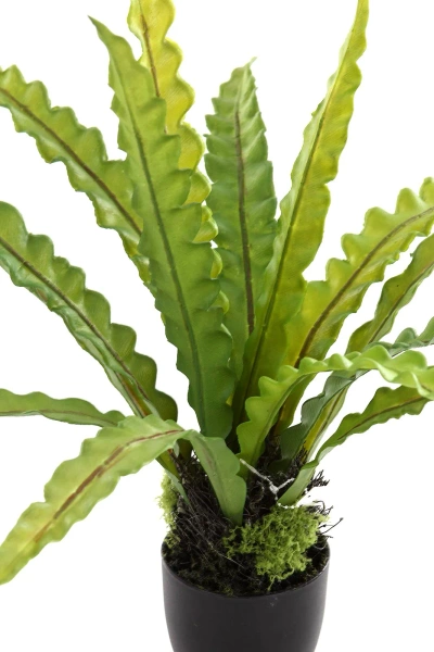 Sztuczne asplenium paproć 46 cm w doniczce