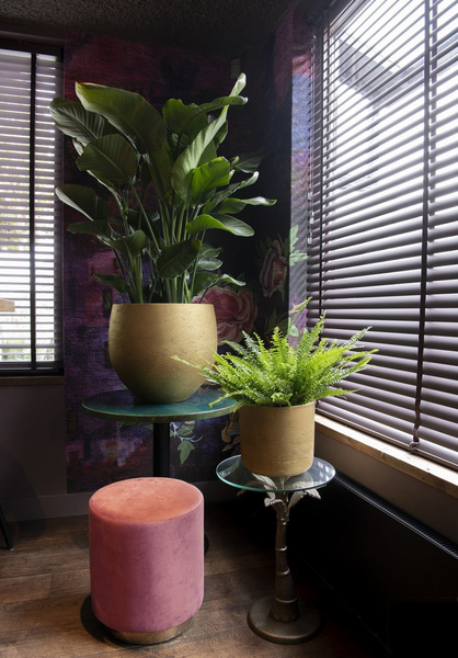 Charlie M 18/17,5 złota doniczka cylinder kamienna