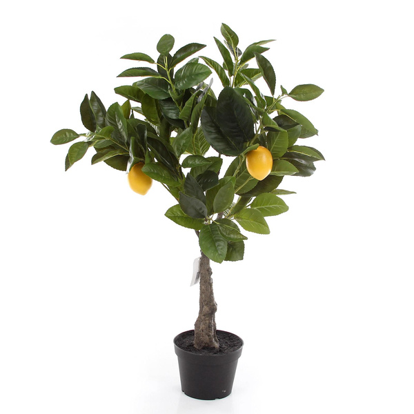 Sztuczne drzewko cytrynowe 70 cm