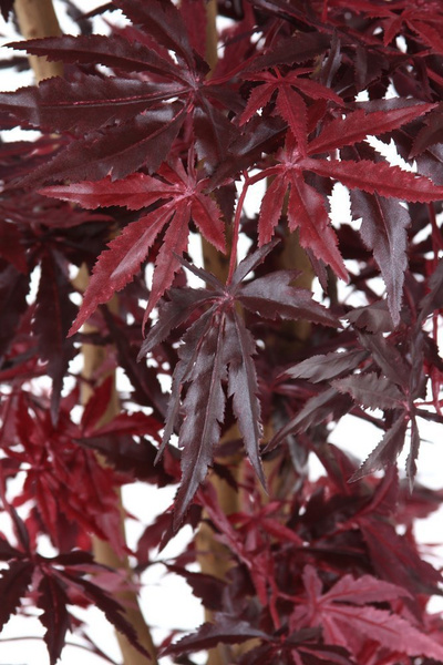 Sztuczny Klon 140 cm czerwony