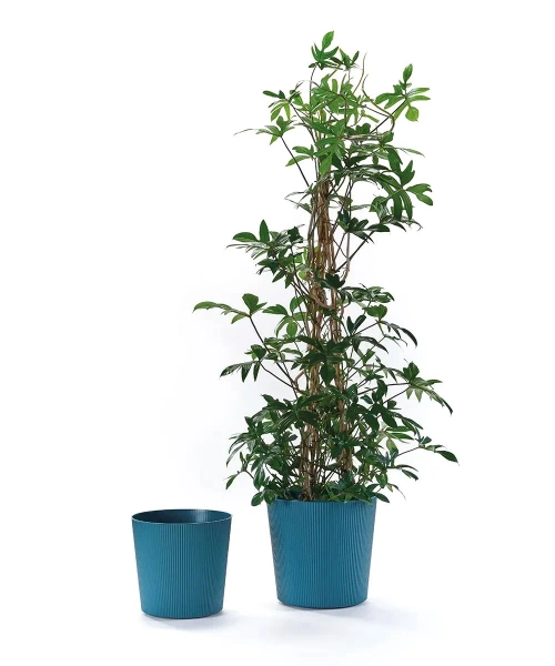 Fyre 35 antracytowa donica ryflowana na kółkach