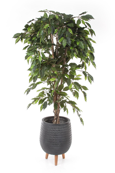 CORDA 22/32 czarna osłonka na drewnianych nóżkach