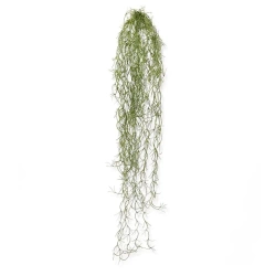 Sztuczna Tillandsia wisząca 75 cm
