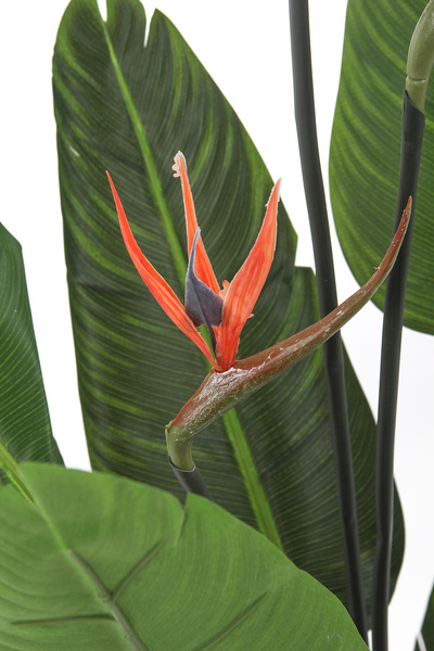 Sztuczna strelicja z 3 kwiatami 120 cm