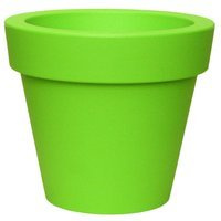 zielony / green