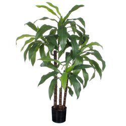 Sztuczna Dracena 100 cm w doniczce