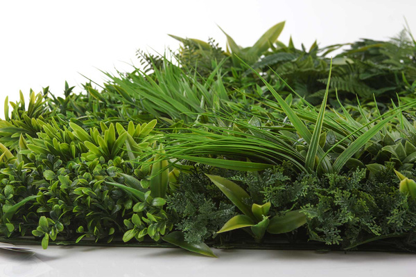 Mata zielona ściana Forest 100x100 cm mix z roślin leśnych