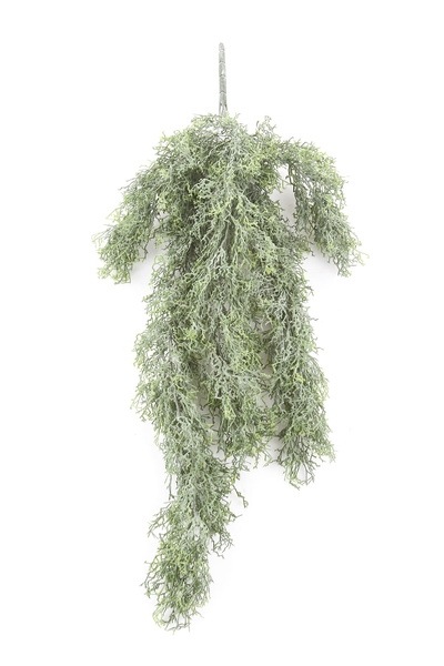 Sztuczna Russelia pnącze 75 cm