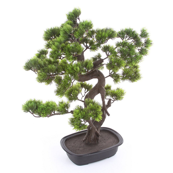 Sztuczne drzewko Bonsai Sosna Pinia 65 cm