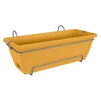 żółty / honey yellow