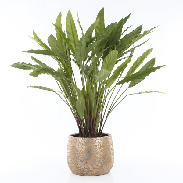 Sztuczna Kalatea Calathea 84 cm