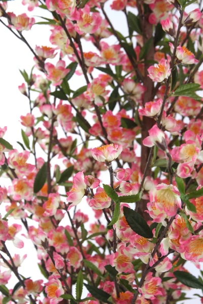 Sztuczna Wiśnia 170 cm różowe kwiaty