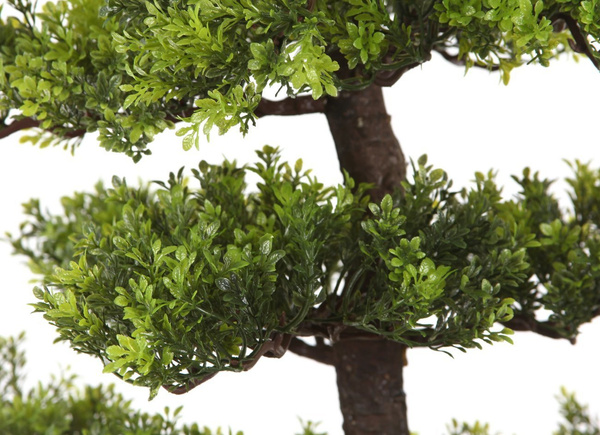 Sztuczne drzewko Bonsai Zielona Herbata 160 cm