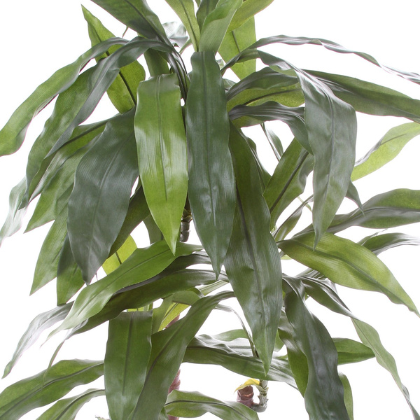 Sztuczna Dracena 100 cm w doniczce