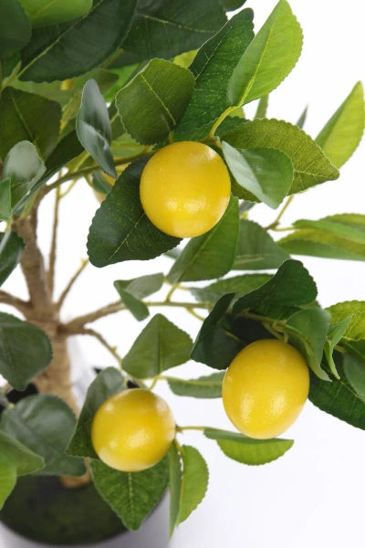 Sztuczne drzewko cytrynowe 72 cm