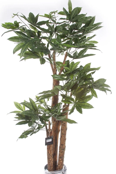 Sztuczna Pachira 175 cm d85 cm