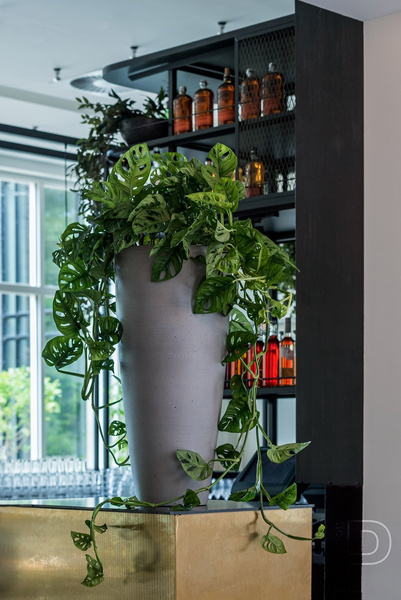 Dax L 37/80 czarna wysoka donica kamienna