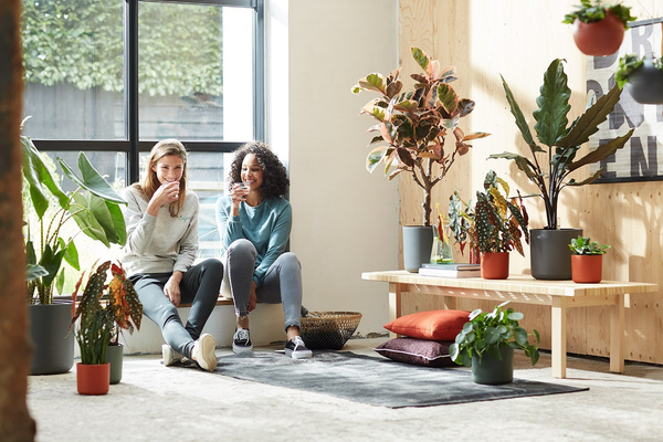 B. For Soft Round 18 różowa osłonka cylinder delicate pink