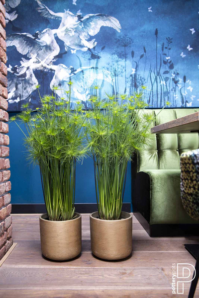 Charlie XL 32/31 złota donica cylindryczna kamienna